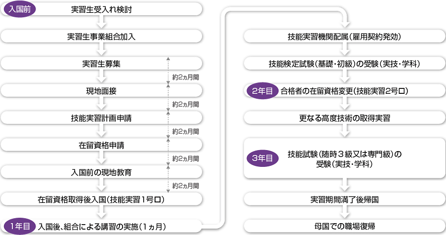 実習生受け入れの検討→実習生募集→現地面接→在留資格申請→入国前の現地教育→ビザ取得後入国→組合による講習の実施→受入れ企業配属→技能検定の受験→合格者の在留資格変更→更に高度な技術の修得→実習期間満了後帰国→母国での職場復帰